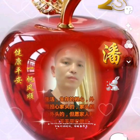 朴素一生(在流浪)