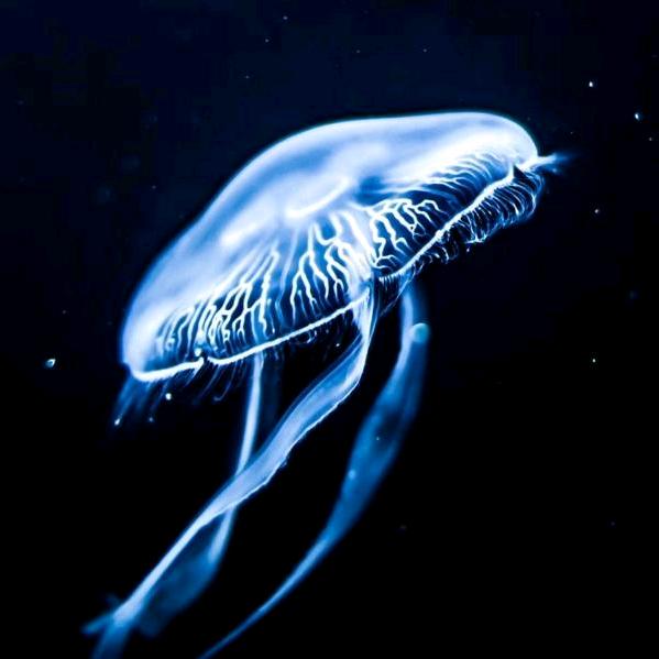 陕西拓源臭氧科技有限责任公司