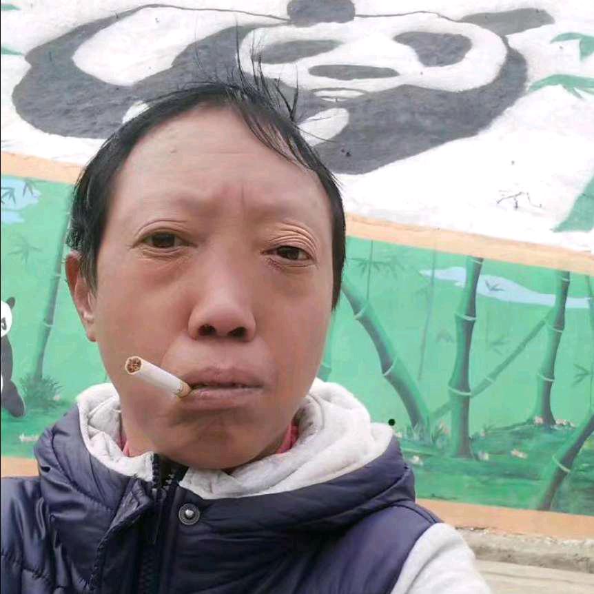 自由如风（杜）