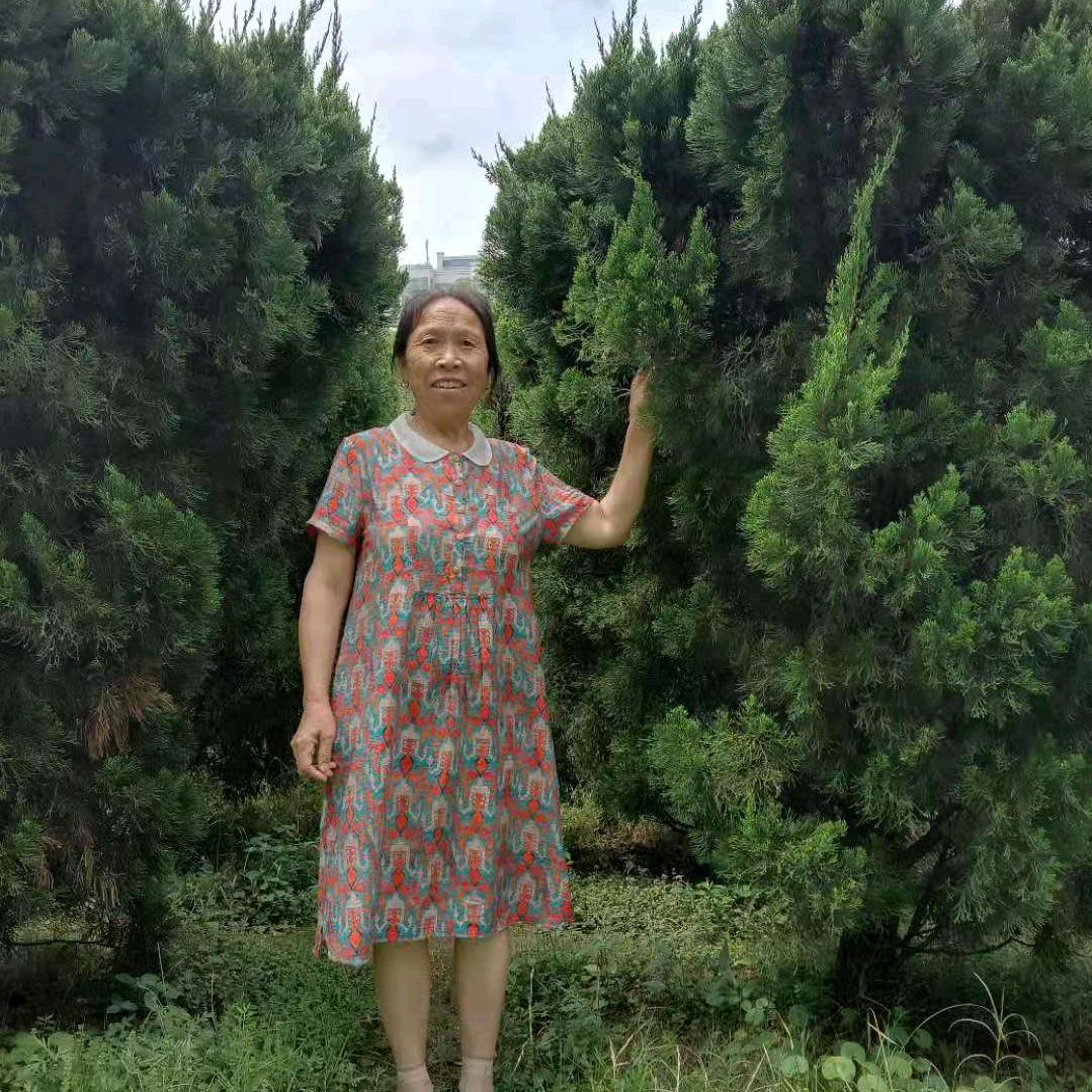 用户4106963060859