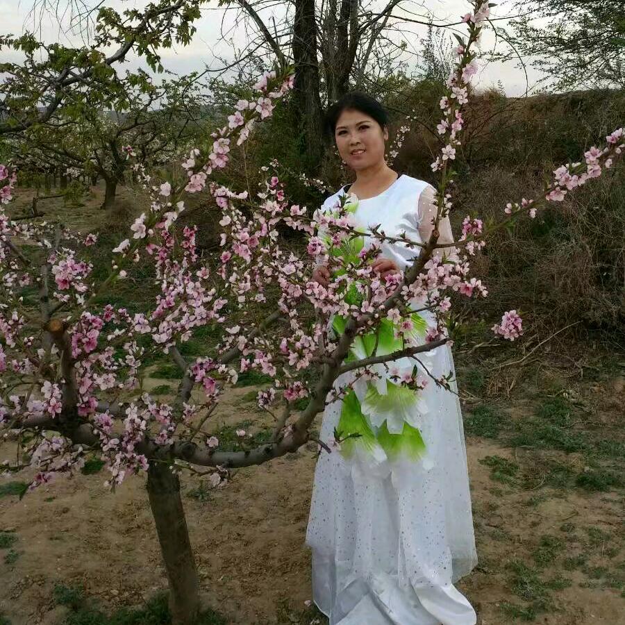 🌈兰馨竹韵🎤