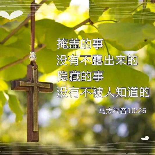 金华🏃