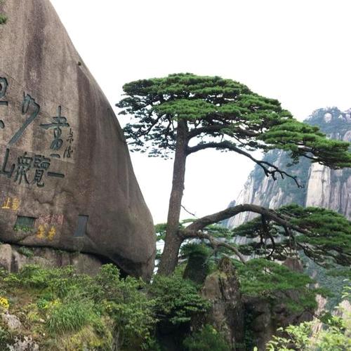 大发财