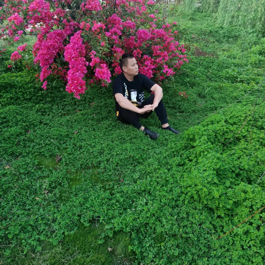 有多少爱可以从来