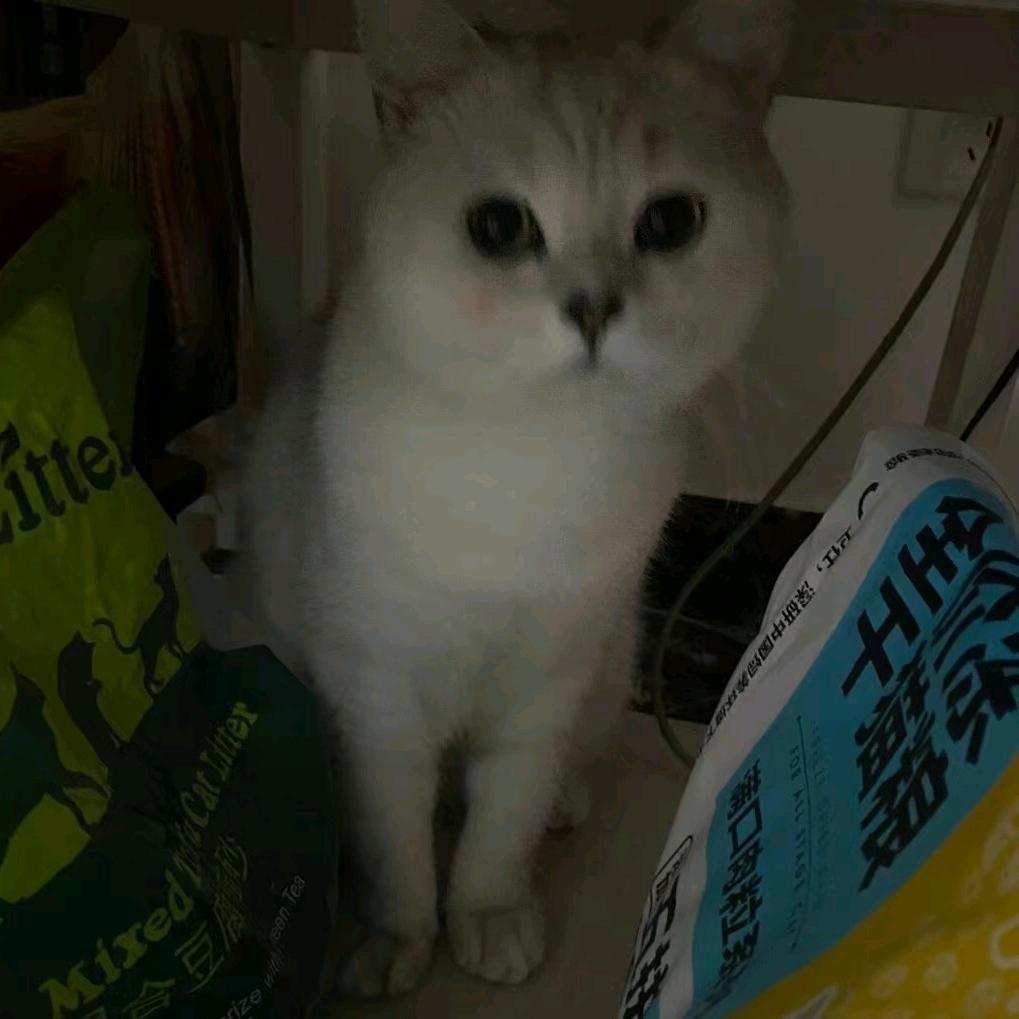 药瓶