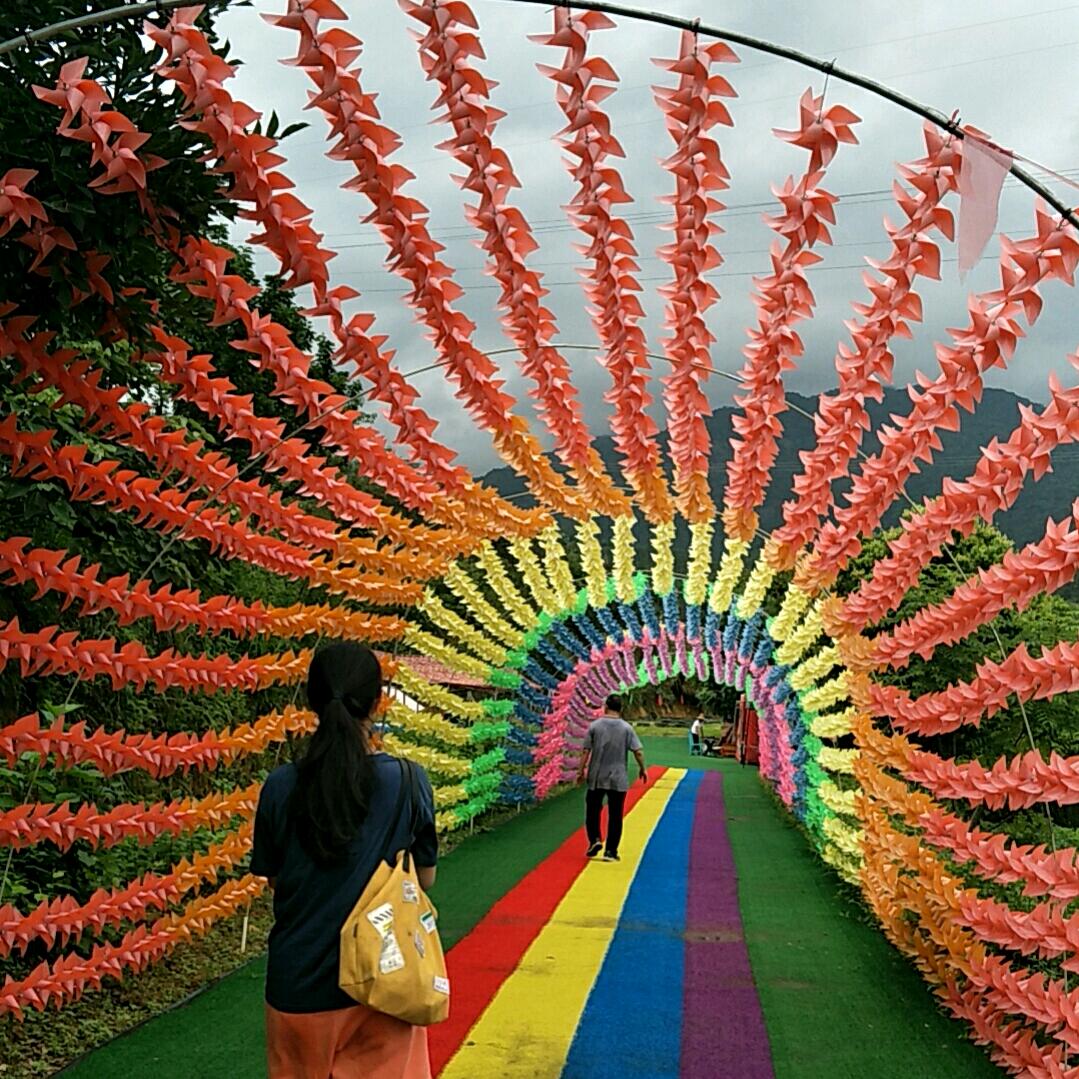 起飞