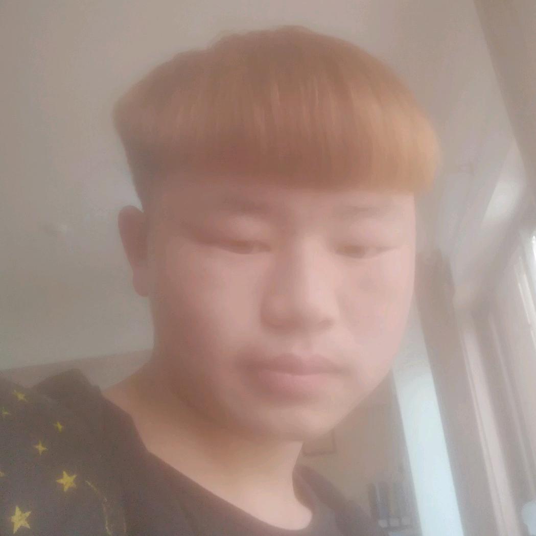 龍龙