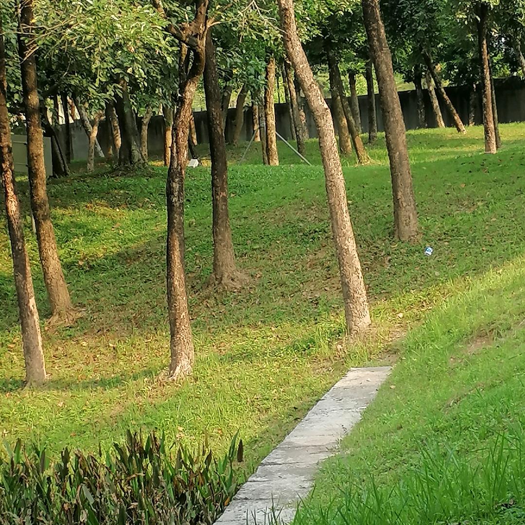 往事不回头-余生不将就