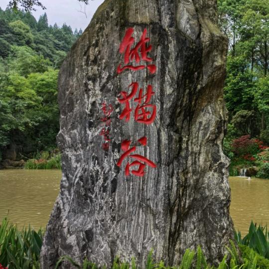 智库远方