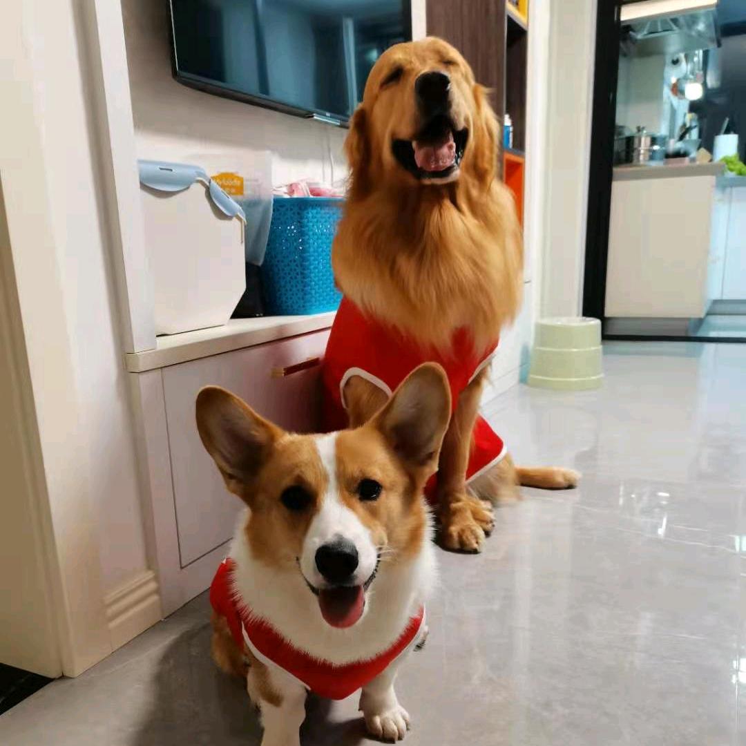 小肥基&大憨毛