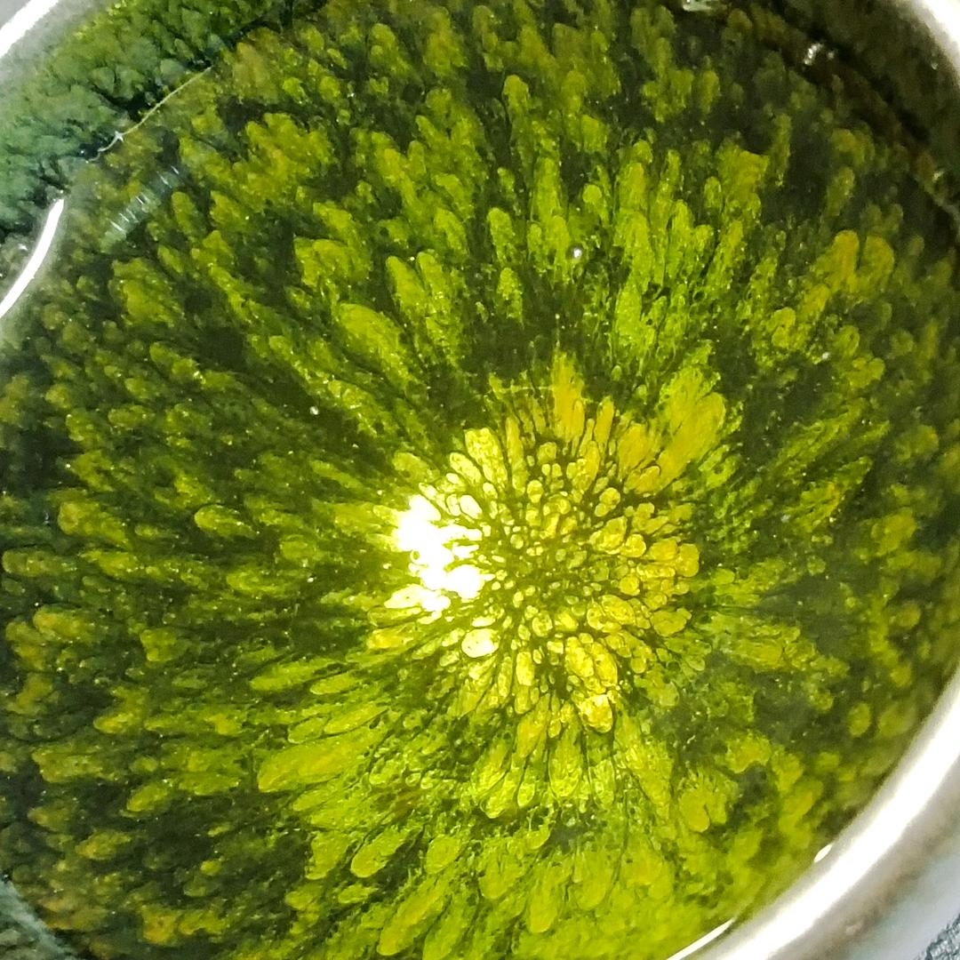 村菇有缘