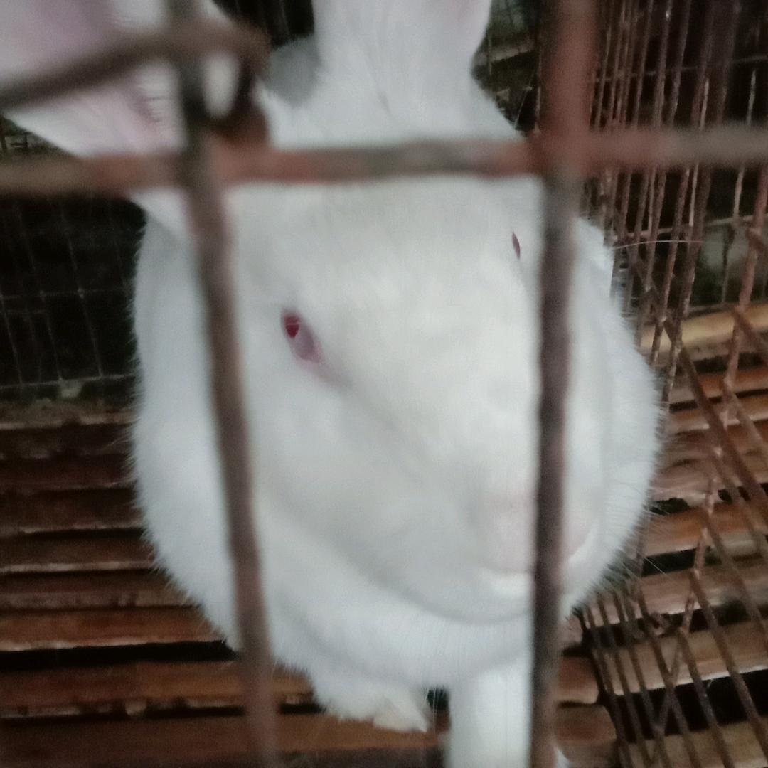 ꧁༺๑咱两一家人๑༻꧂