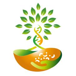 善种福田