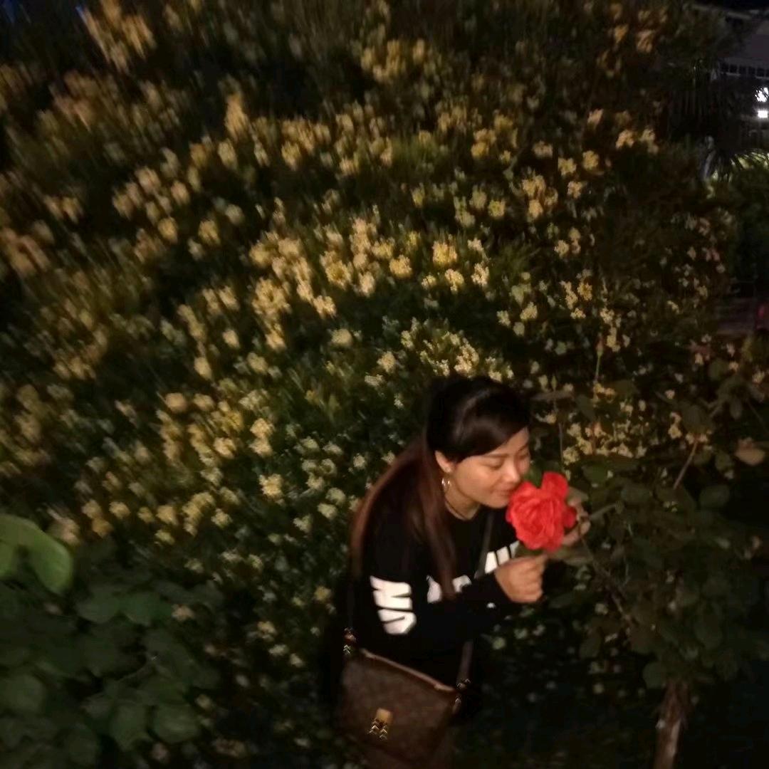 寻梅
