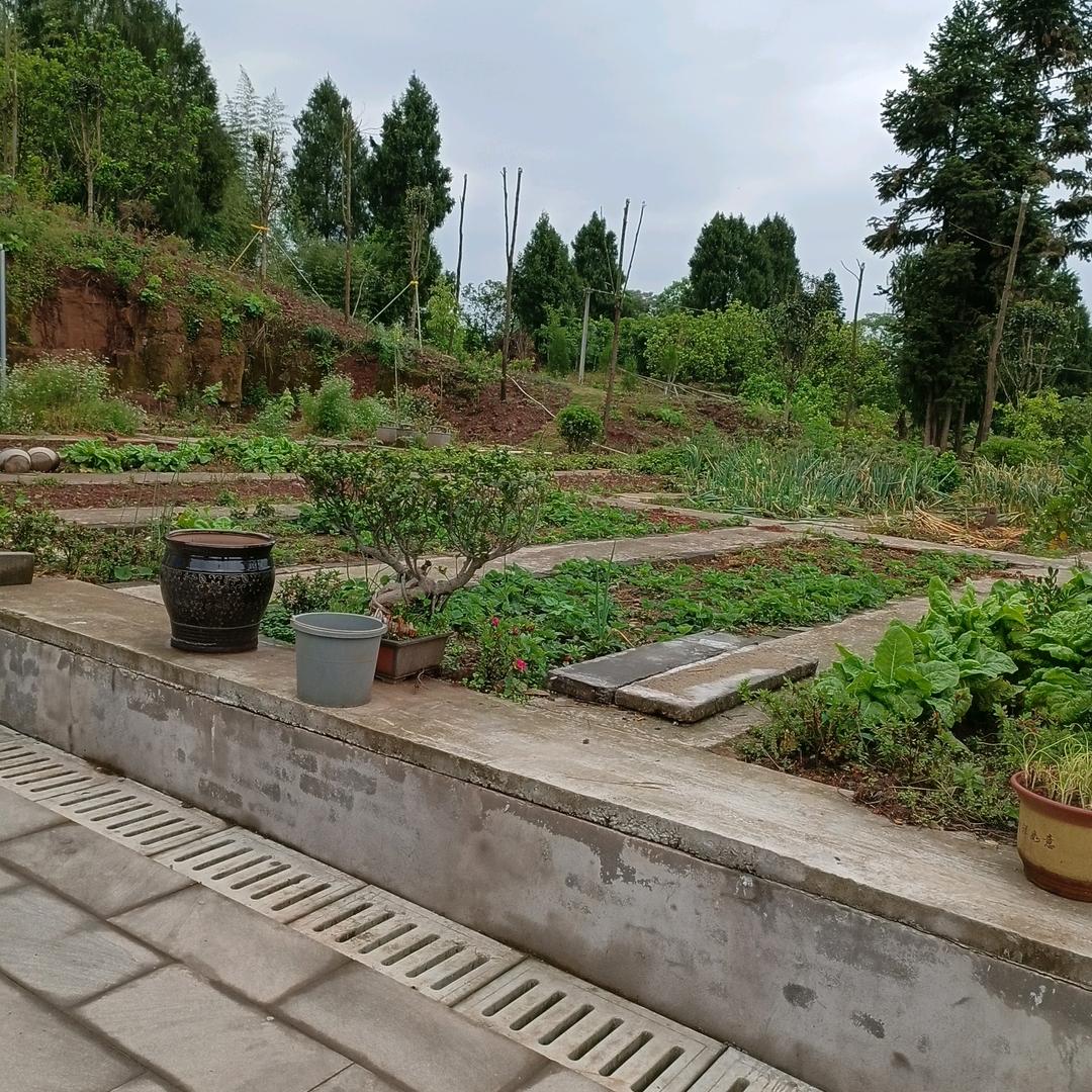 🇨🇳崽崽🇨🇳（2019.8.1）