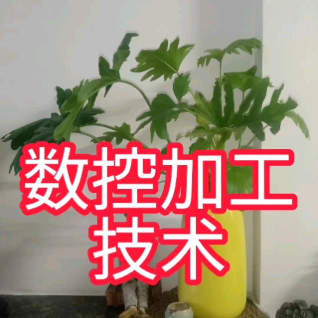 数控加工大敬哥