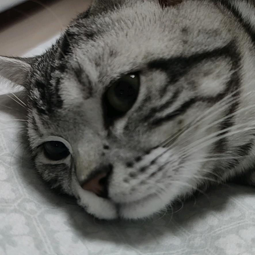 许君