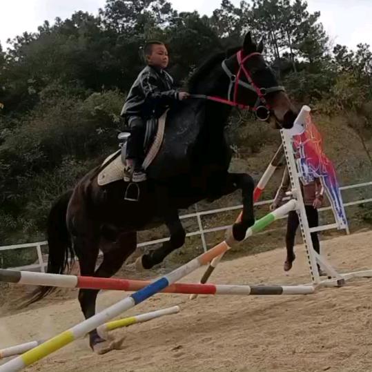 添明13888712369