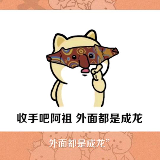 收手吧阿祖外面都是成龙