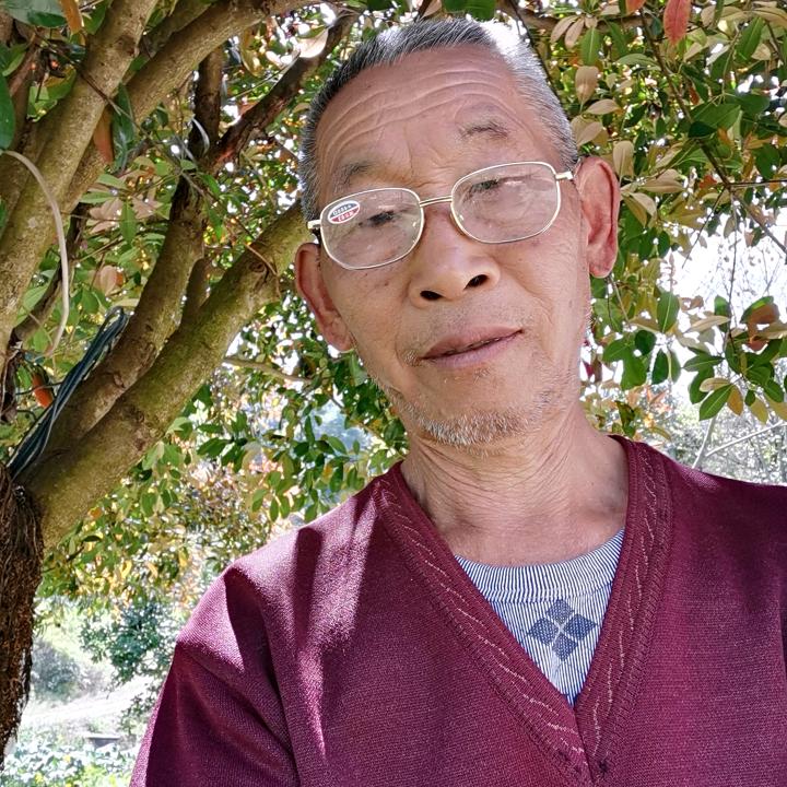 明山歌不定时开播