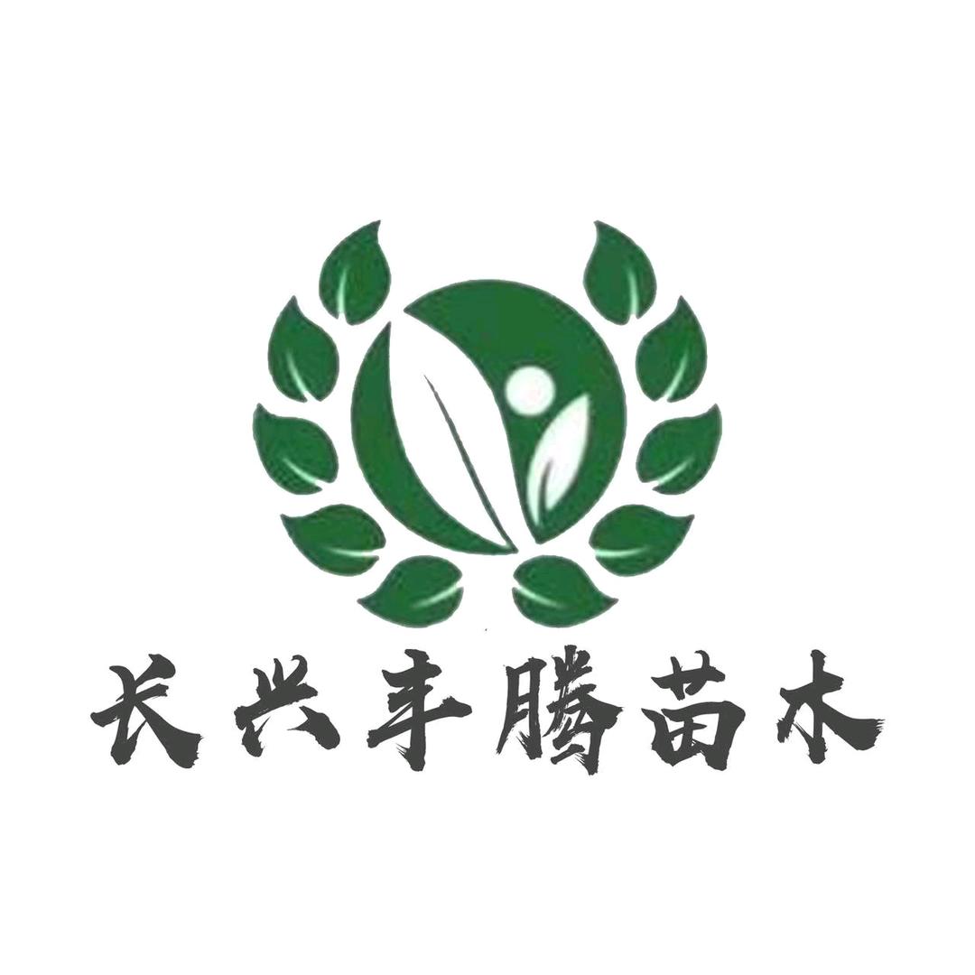 长兴丰腾苗木专业合作社