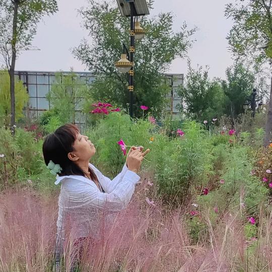 玻璃海棠（羌白鼓舞团）