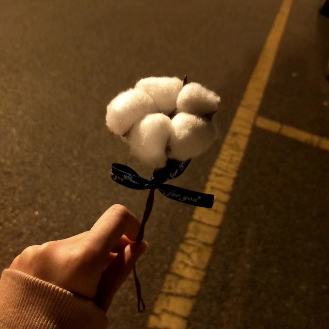 小张同学..