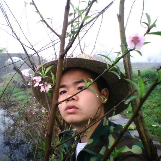 玻璃的心