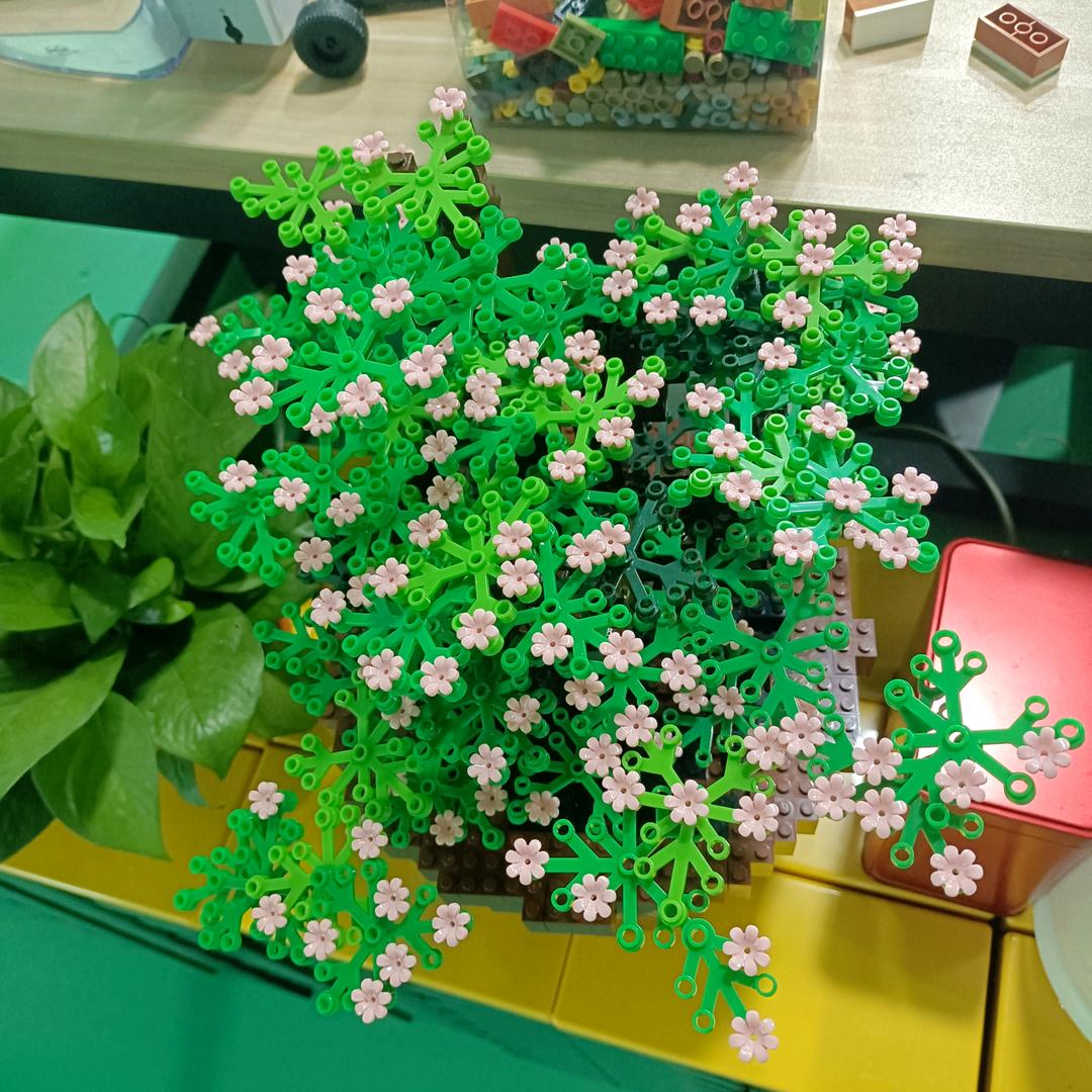 淡然一笑每一天