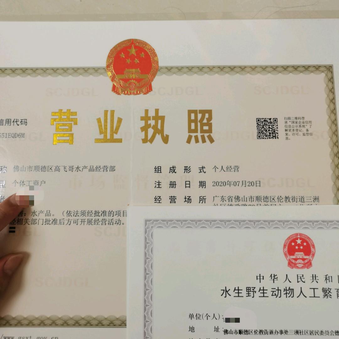 佛山市顺德区高飞哥水产品经营部