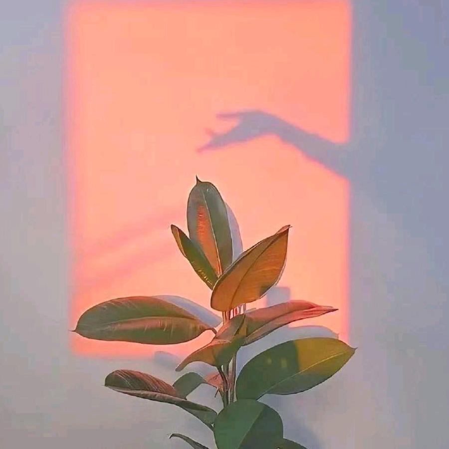 守望幸福