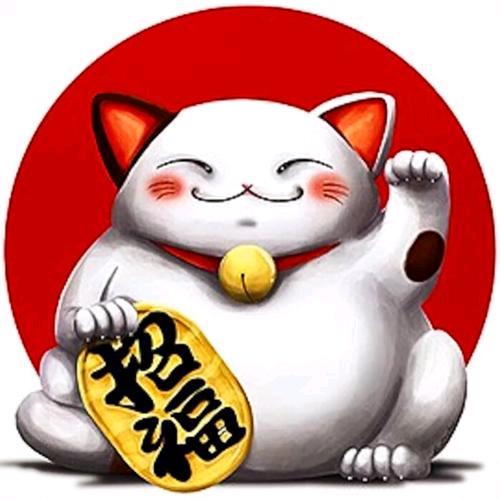 莫普数码专营店