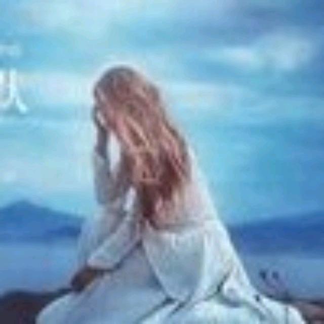 富贵竹