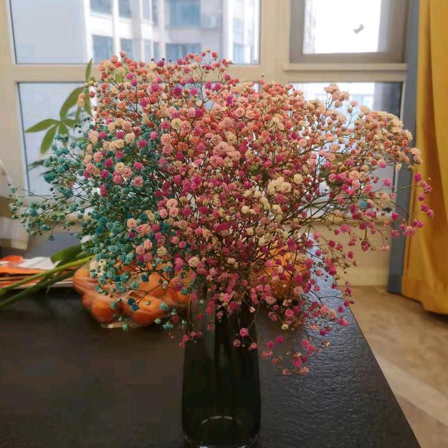 晗菲