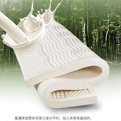 联益国际乳胶枕