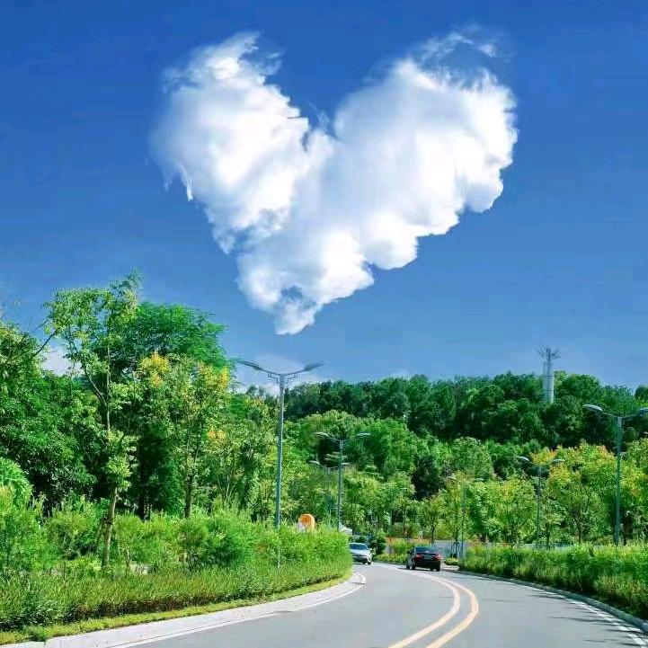 💞自然顺其💞