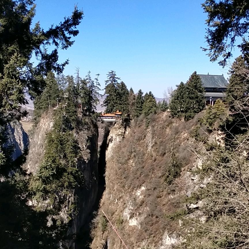 范德彪，{彪哥}