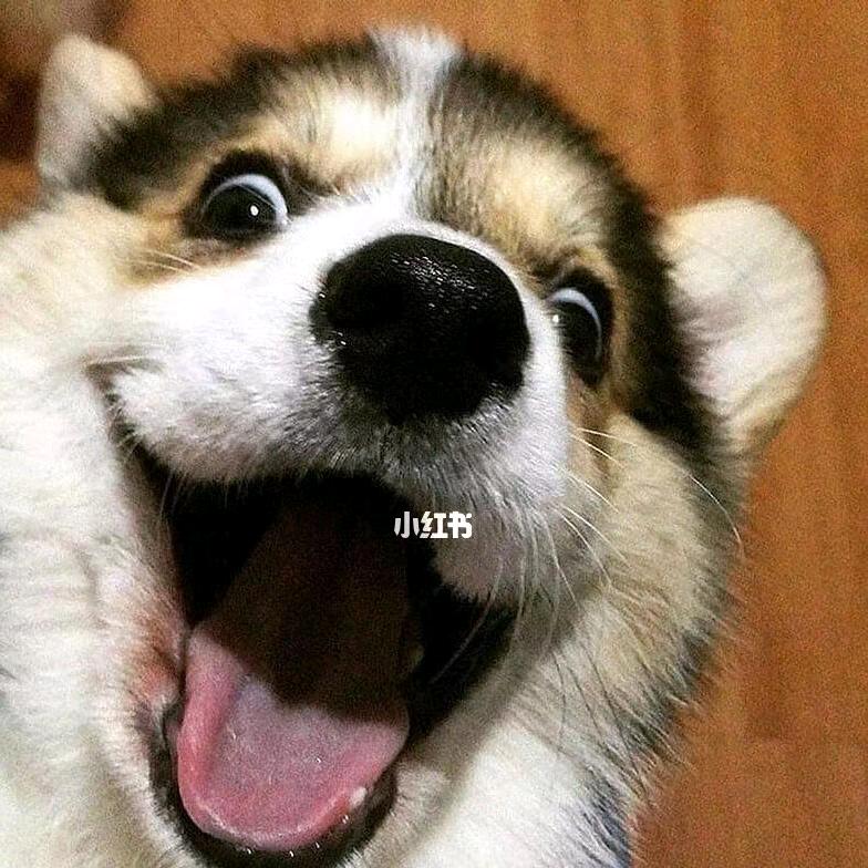 风与自由，旅途和终点