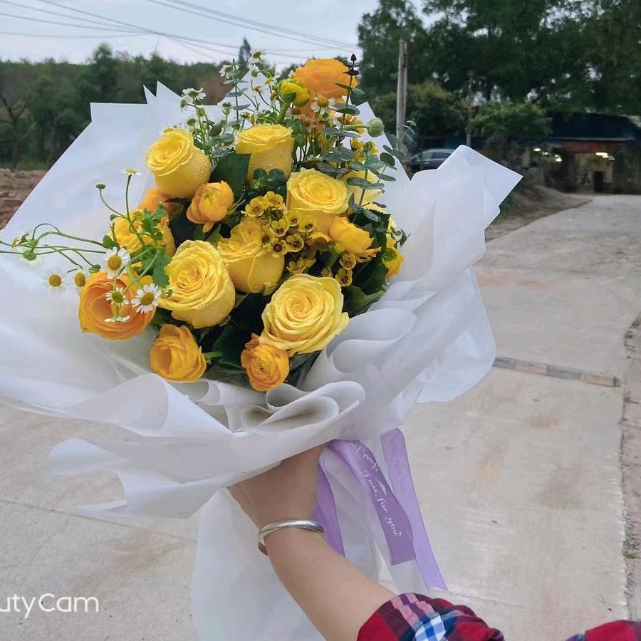 婧婧