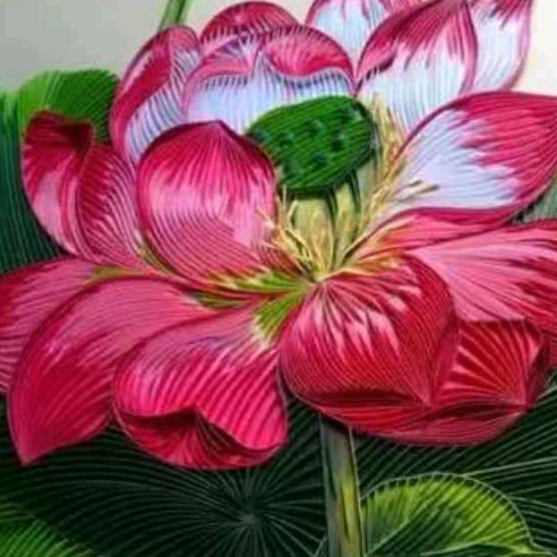 黑桃K……邹文英