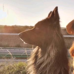 我妈说名字取的长就会有傻子跟着念