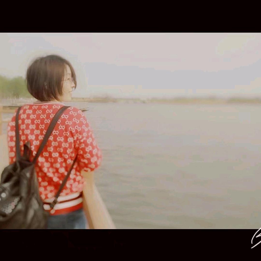 ZLL