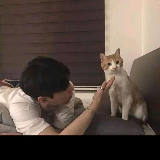 放弃了