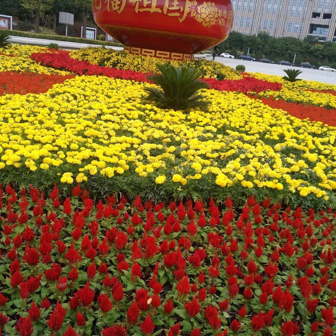 除了努力，别无选择