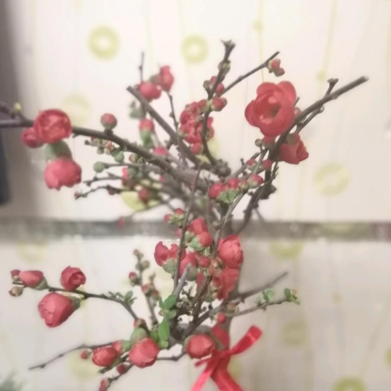 彩虹糖