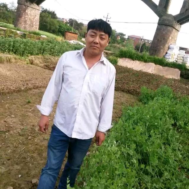 若无相欠，怎会相见
