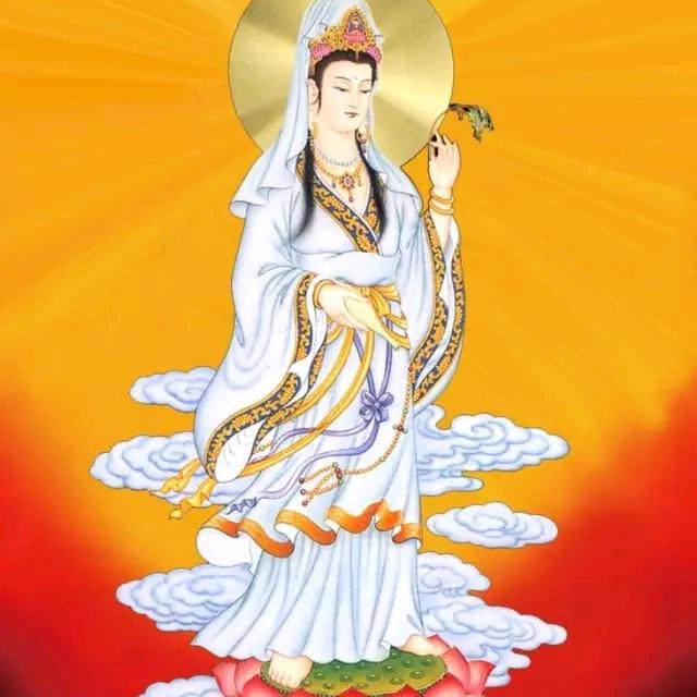 🌹依旧涛声🌹越来越好🌹