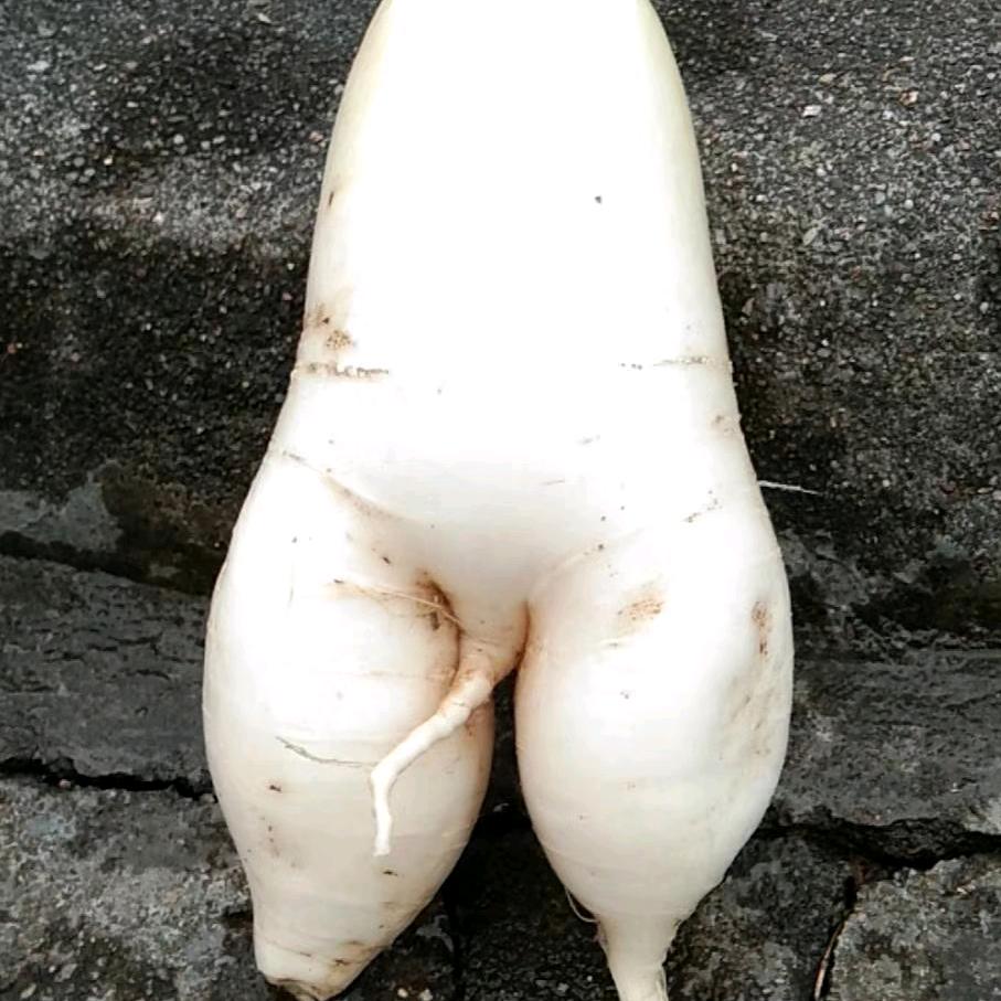 黄老九