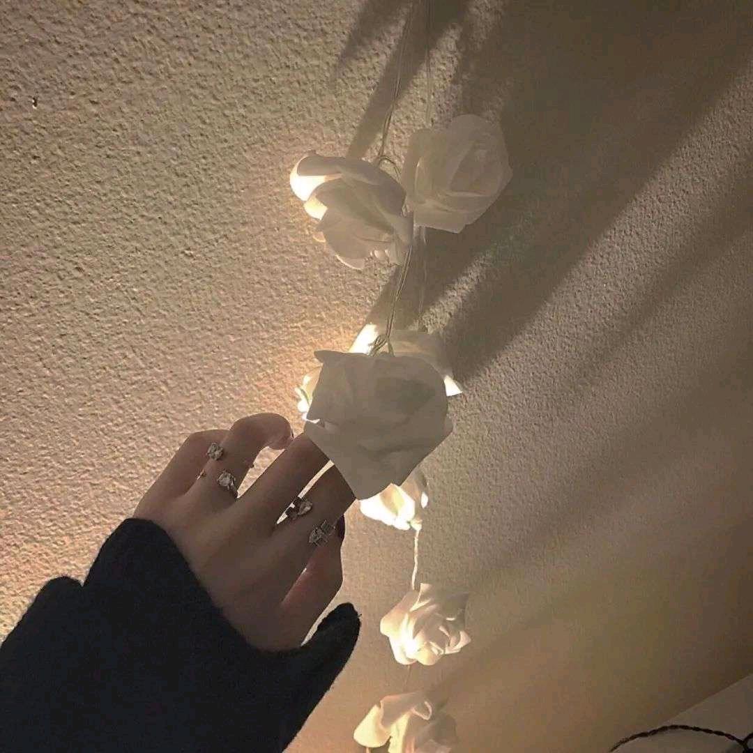 林桉.