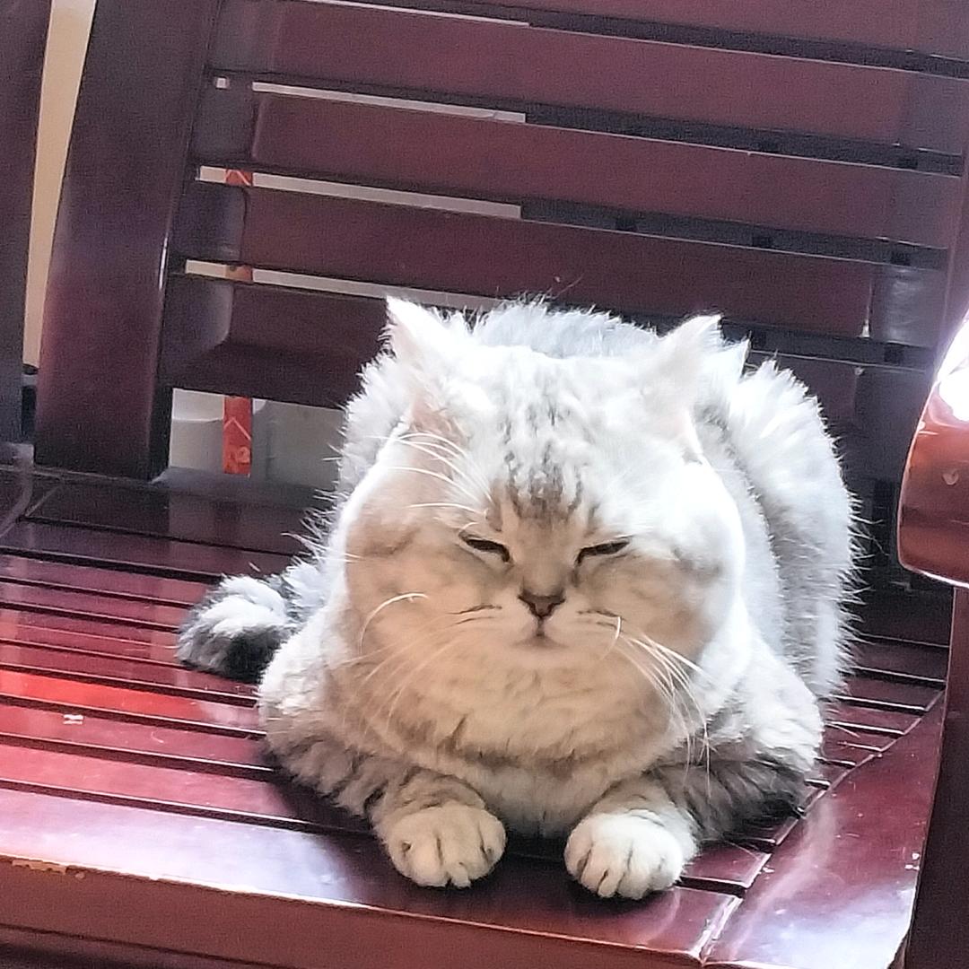 暖暖